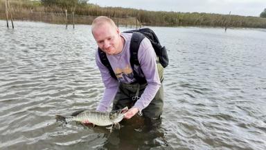 Horses & Hangmen 1x4