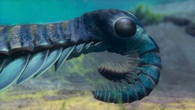 La vida en nuestro planeta 1x2